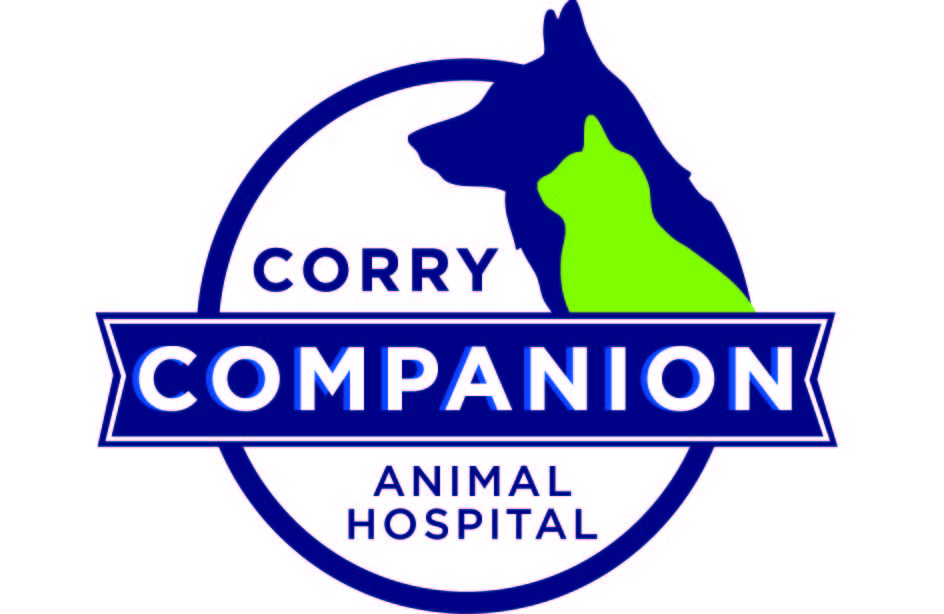 Corry Companion Animal Hosptial